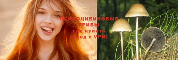 альфа пвп Нязепетровск