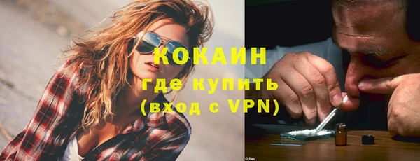 хмурый Няндома