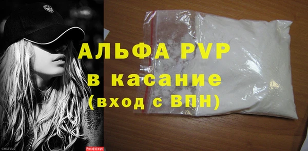 мдпв Новозыбков
