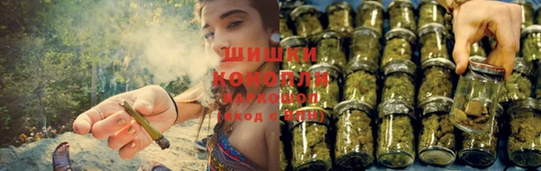 Альфа ПВП Новодвинск