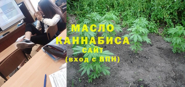 дмт Билибино