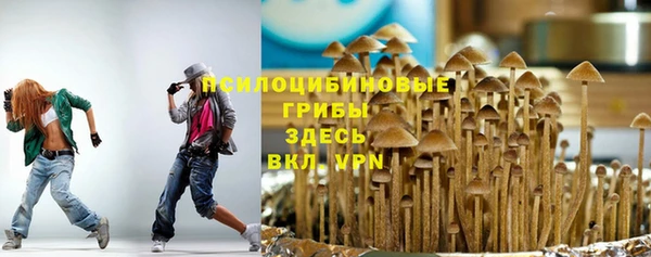 хмурый Няндома