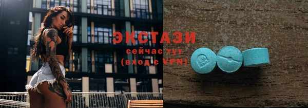 хмурый Няндома