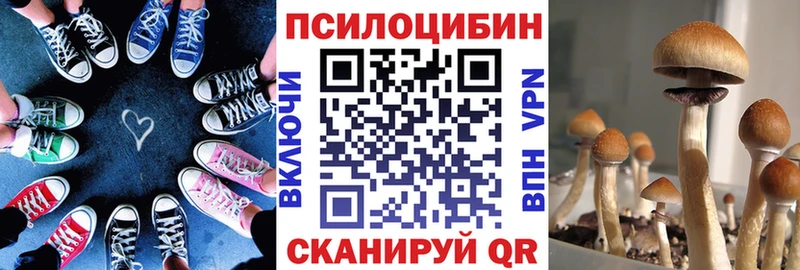 Псилоцибиновые грибы мухоморы  mega tor  Пучеж 